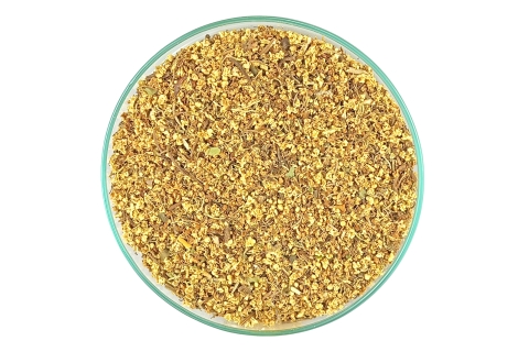 Zioło SUSZONY KWIAT CZARNEGO BZU Sambucus nigra L.